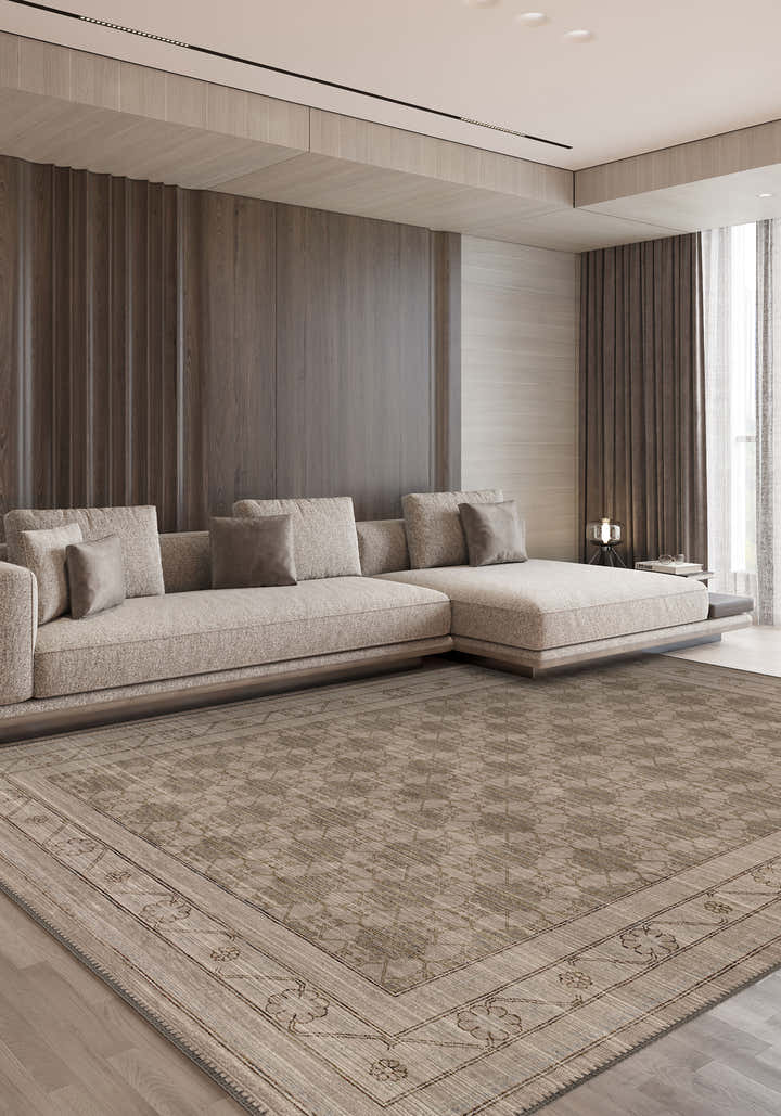 Living Room Rugs