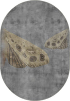 Oval Rugs