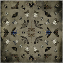 Square Rugs