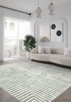 Living Room Rugs