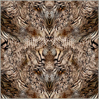Square Rugs