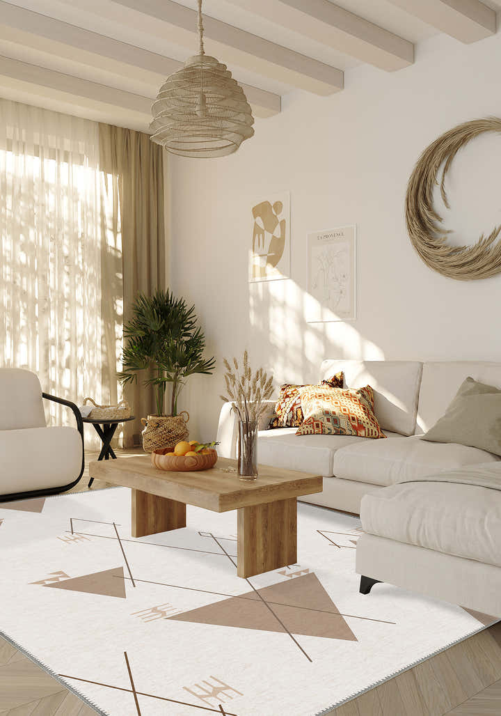 Living Room Rugs