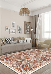 Paisley rug for a living room.