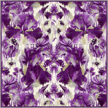 Square Rugs