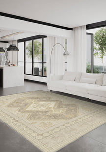 Living Room Rugs