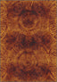 Darielle Brown Boho Rug
