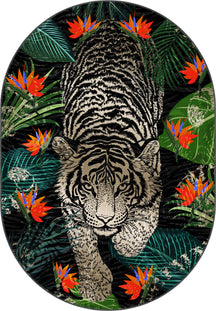 Oval Rugs