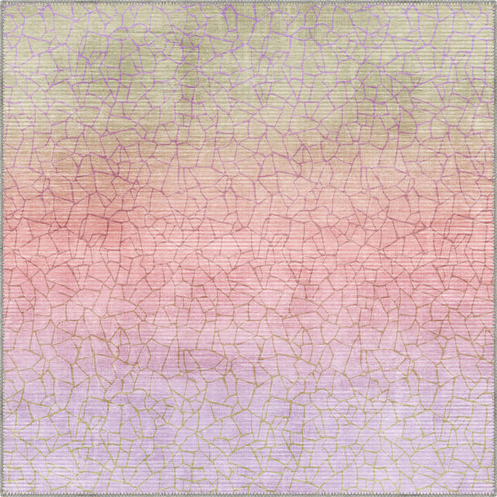 Square Rugs