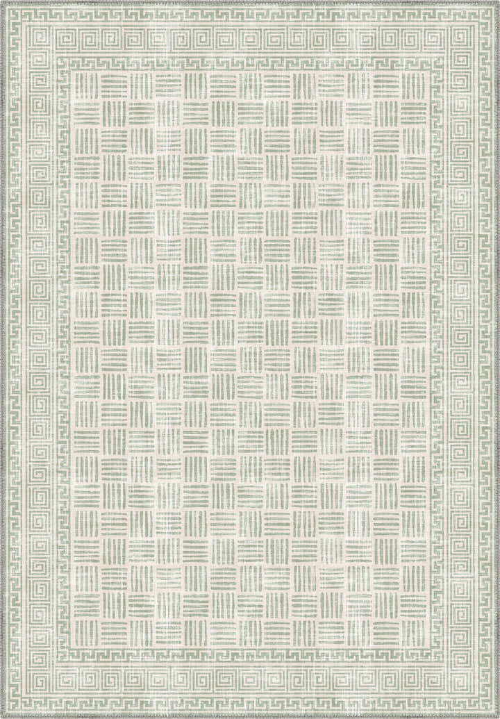 Soft green rug for living room.