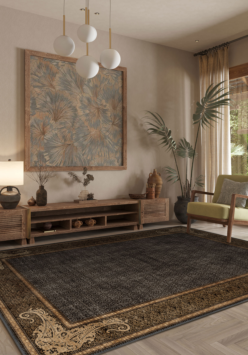 Living Room Rugs
