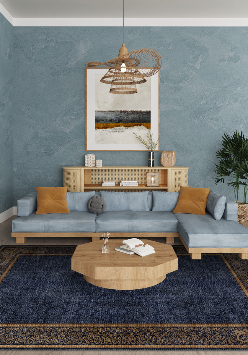 Living Room Rugs