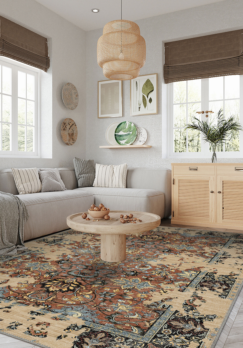 Sorelle Terracotta Distressed Rug