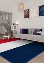 Valois French Flag Rug