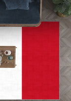 Valois French Flag Rug