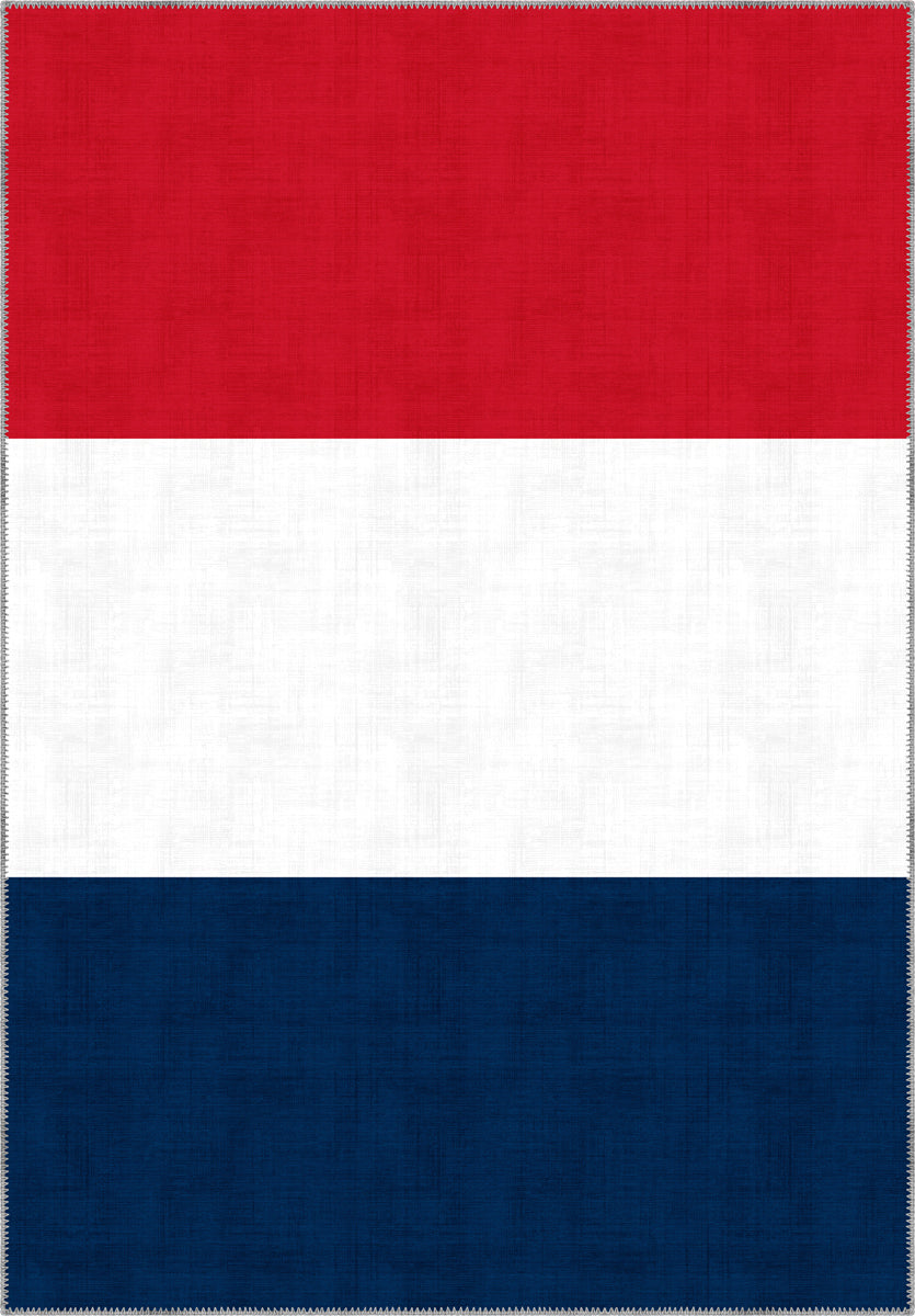 Valois French Flag Rug