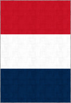 Valois French Flag Rug