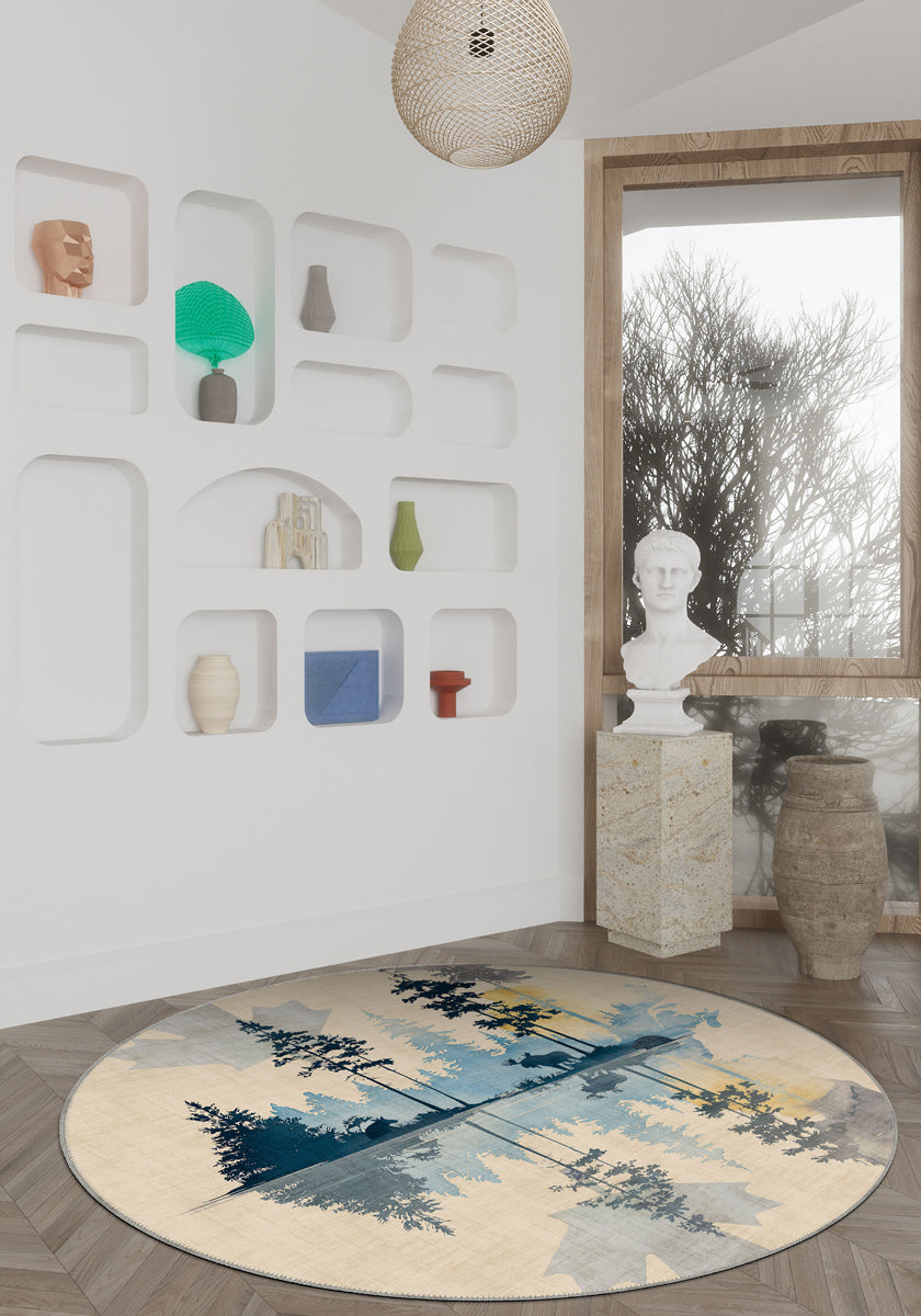 Entryway Rugs
